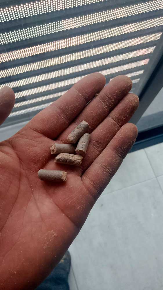 tamano-de-pellets